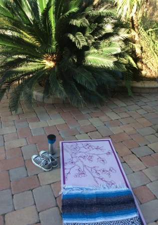 Yoga mat and converse
